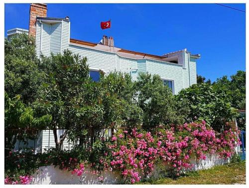 Eriklice Hotel | Akmonya Pansiyon