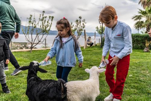 Ayvacik Hotel | Assos Alis Farm Boutique Hotel & Spa