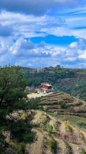 Seferihisar Hotel | Ayda Bağları Winery & Vineyards