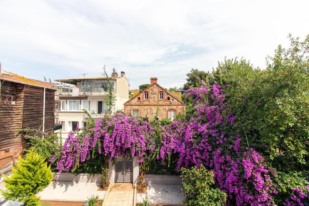 Adalar Apartment | Büyükada Garden Apartments - 5 Min to Ferry