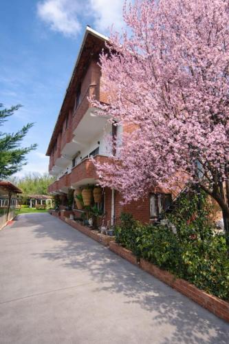 Vize Hotel | Balkaya Doğa Park Motel