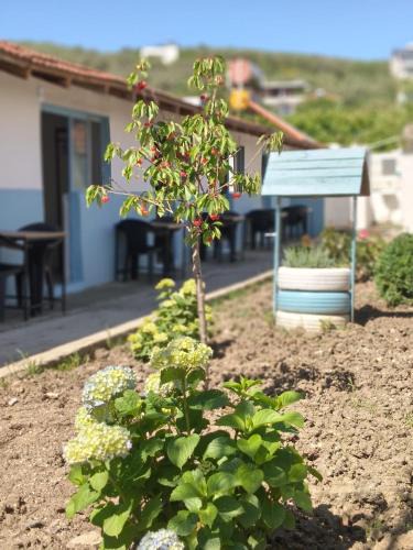 Mudanya House | Bizim Pansiyon