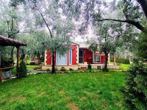 Iznik House | bungalov ve göl kenarina kurulmuş sahil evi.
