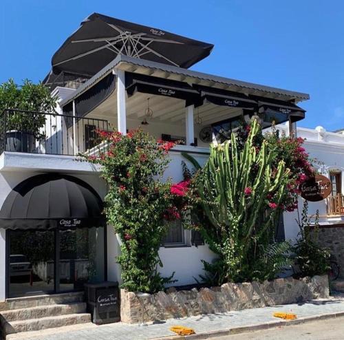 Bodrum City Center Hotel | Casa Tua Butik Otel