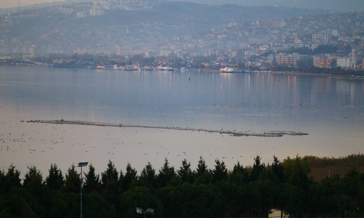 Izmit Hotel | Emexotel Kocaeli