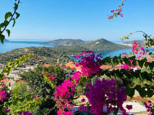 Kas Apartment | Kaş Homes 5