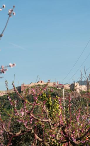 Selcuk Hotel | Mandalin Glamping