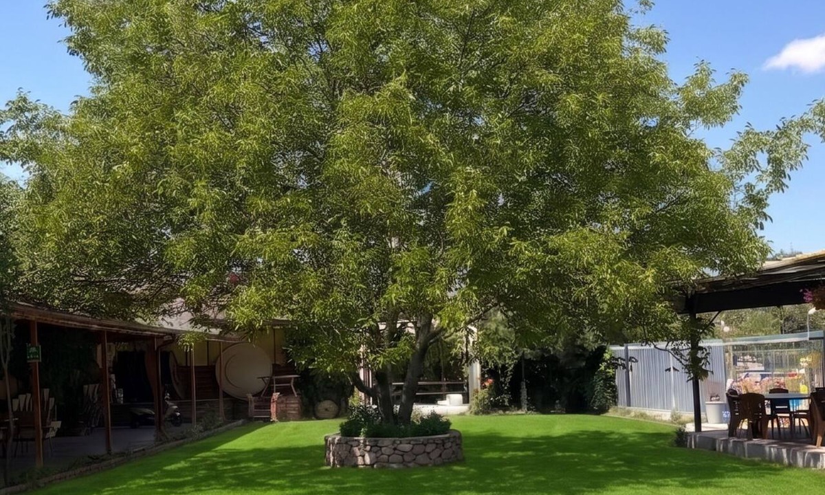 Sarikaya Hotel | Mehmetoğulları Thermal Resort