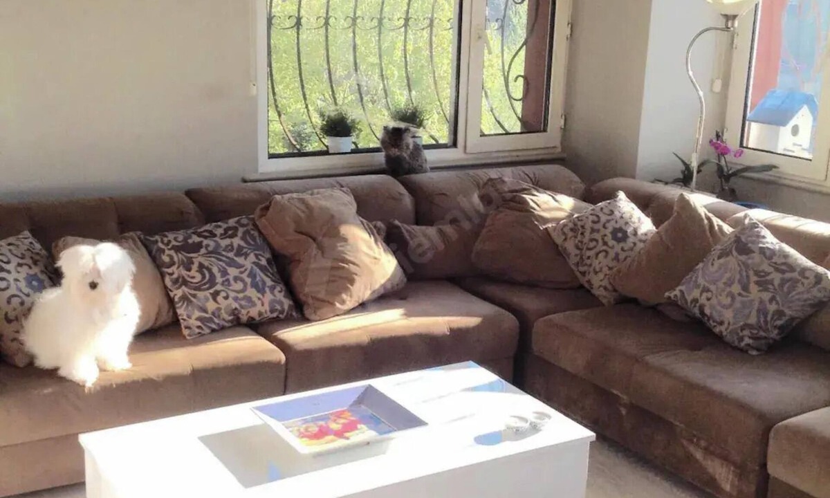 Sariyer House | Modern Room in Maslak