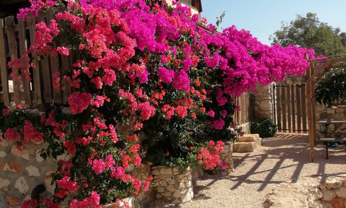 Demre House | Old village restored stone house with gardens and parking.