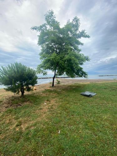 Altınordu Apartment | SEZGİN KARGI - Günübirlik Turizm Evleri