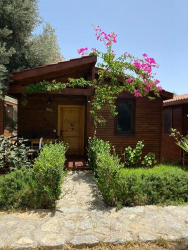 Hayitbuku Apartment | Suzi'nin Bahçesi Bungalov Evler