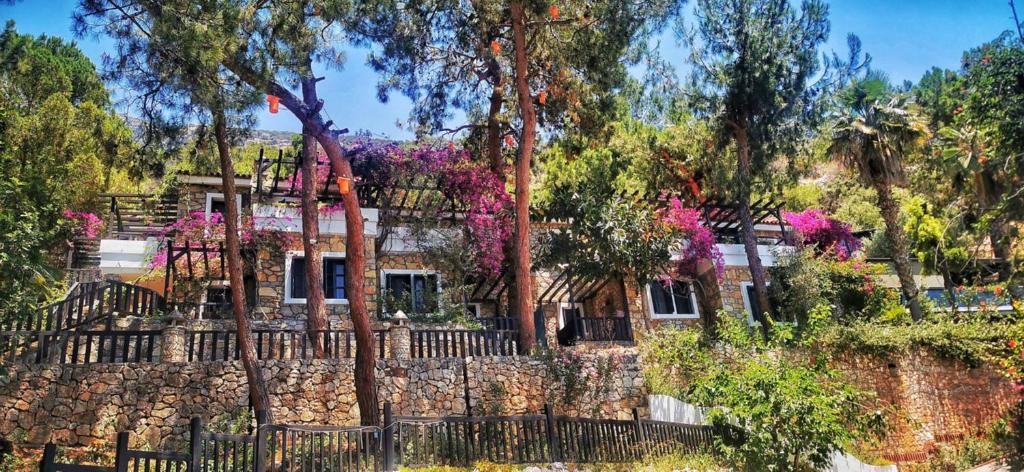 Oludeniz City Center Hotel | Symbola Oludeniz Beach Hotel