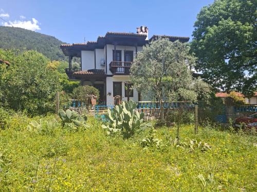 Akyaka House | Villa İkiz