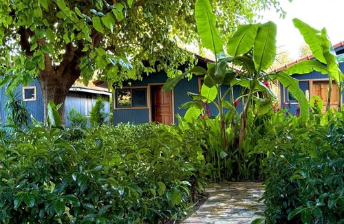 Cirali Bed & Breakfast | Çıralı Nun Bungalove