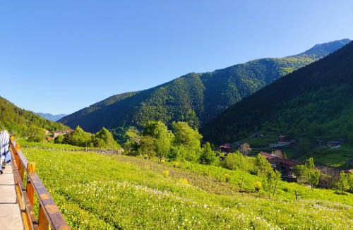 Uzungol House | Çay Pansiyon