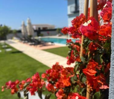 Cesme House | Çeşme Güzel Life