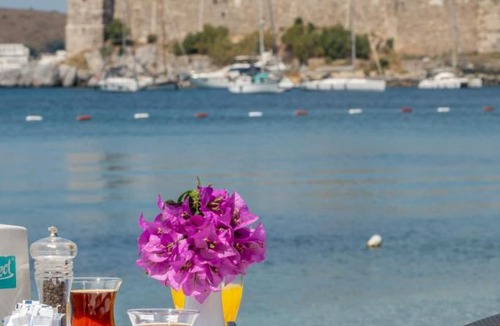 Bodrum City Center Hotel | Artemis Hotel