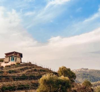 Seferihisar Hotel | Ayda Bağları Winery & Vineyards