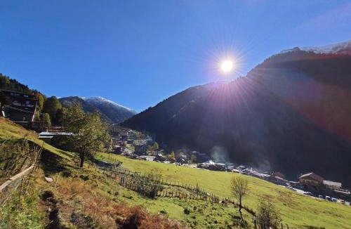 Ayder Yaylasi Villa | Ayder Villa Bravo