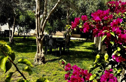 Demre Apartment | Benlikya Apart Demre