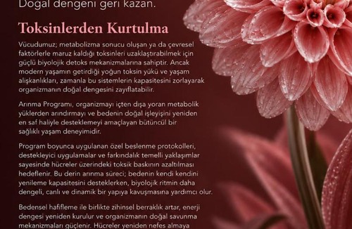 Boyalıca Hotel | Birun Ada Hotel