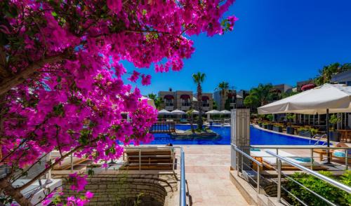 Bodrum City Center Hotel | Bodrium Hotel & Spa - City Center