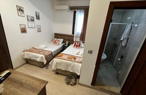 Bodrum City Center Hotel | Carsi Butik Otel Bodrum