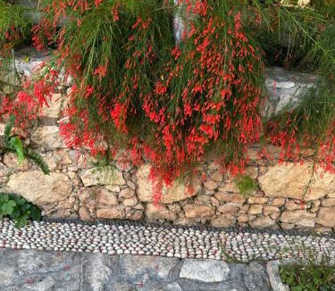 Kalkan Hotel | Courtyard Kalkan