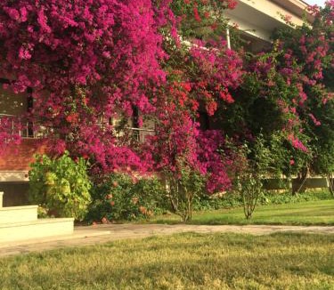 Dalyan Hotel | Dalyan Palmiye Resort Hotel