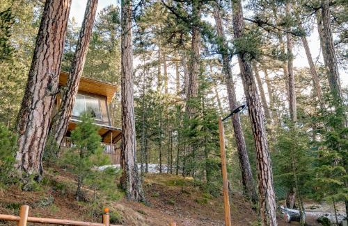 Tosya Hotel | Doceia Hotel