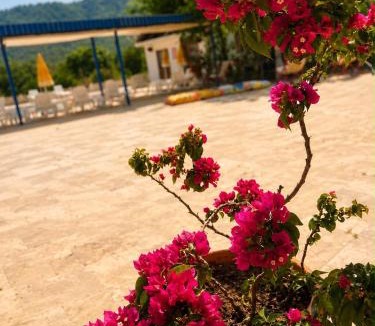 Ekincik Hotel | Emir Palas Hotel