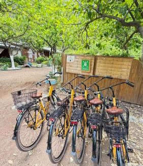 Olympos Hostel | Gayb-i Bungalows , Plus 12 Years Old - Free Access to Beach
