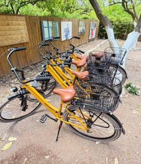 Olympos Hostel | Gayb-i Bungalows , Plus 12 Years Old - Free Access to Beach
