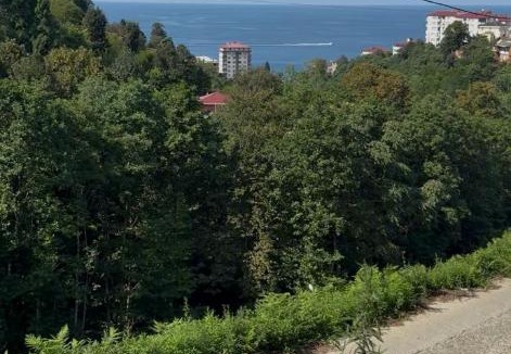 Pazar Apartment | Huzur Konaklama