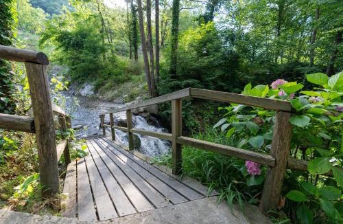 Sapanca Bed & Breakfast | İstanbuldere Alabalık