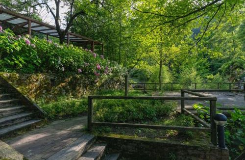 Sapanca Bed & Breakfast | İstanbuldere Alabalık