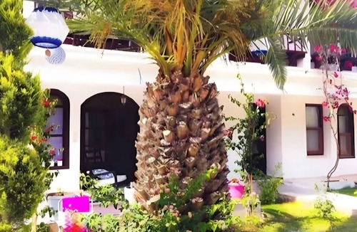 Akyaka City Center Hotel | Kiraz Cicegi Butik Akyaka