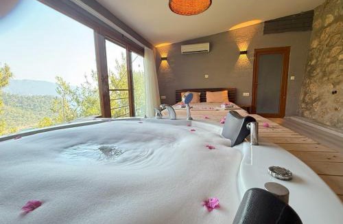 Kabak Valley Other | Manzara Bungalov
