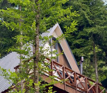 Akcaabat House | Montana Suite Bungalows