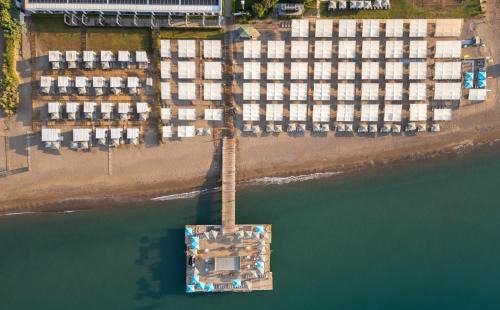 Guzeloba Mahallesi Resort | Nirvana Cosmopolitan Hotel
