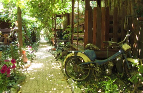 Olympos House | Olympos Natural Pansiyon