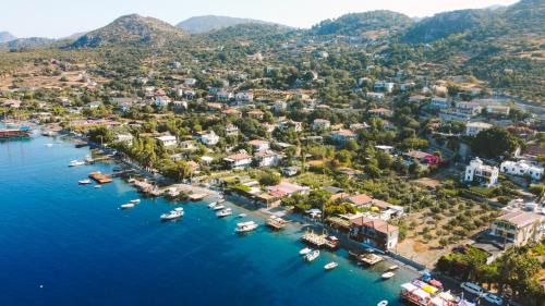 Sogut Hotel | PANJUR SÖĞÜT