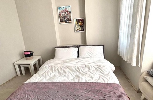 Istanbul City Center Villa | Pink House by the Seashore 2 Bedroom Fiber Internet