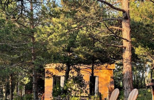 Iznik Ski Chalet | Redpine Guesthouse