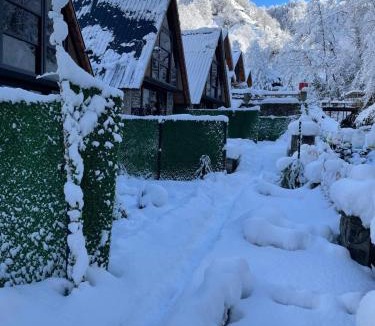 Ayder Apartment | River Bungalov