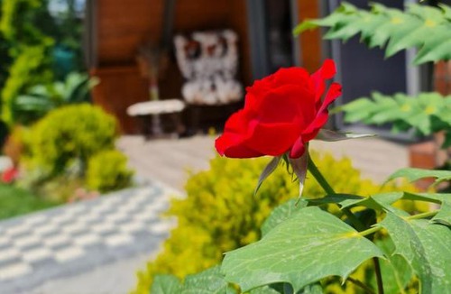 Sapanca Ski Chalet | Sapancahayalbungalow