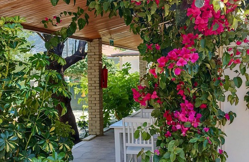 Selimiye House | Selimiye Akasya Pansiyon