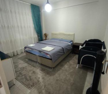 Soke House | Soem Elaia House
