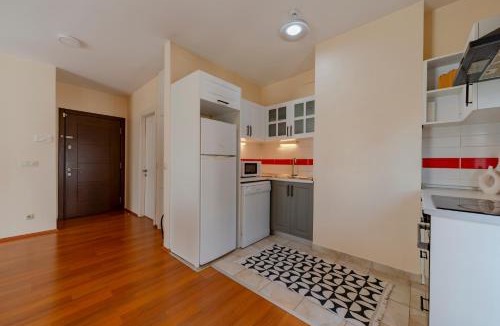 Tophane Apartment | Spacious 1-Bedroom Apartment with Bosphorus View